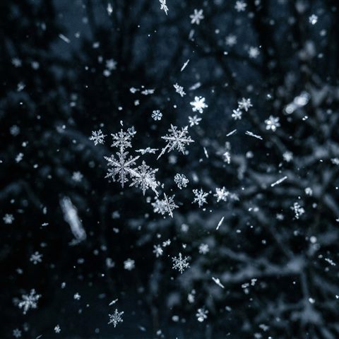 Photorealistic photo of falling snowflakes, close-up detail with shallow depth of field, moody dark tones, dramatic lighting, 1:1 aspect ratio