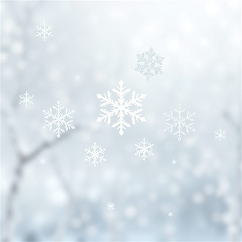 Minimal flat illustration of Intricate detailed white snowflakes falling gently against a soft out-of-focus winter background, wide shot with open space at the top for text, soft pastel colors, bright and cozy, 1:1 aspect ratio