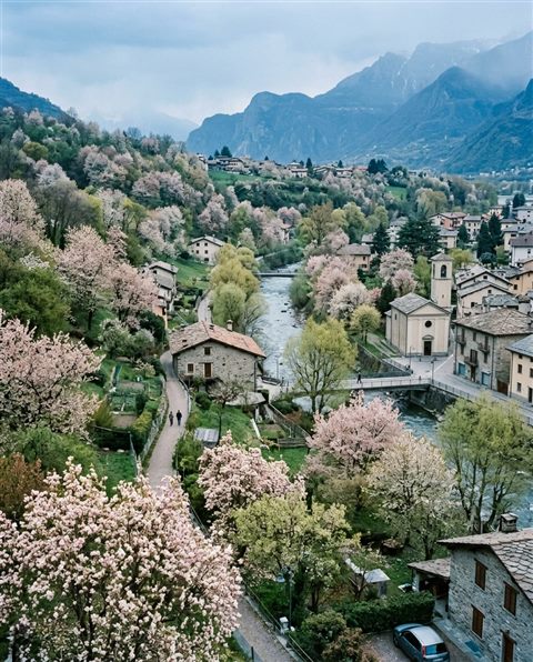 Cinematic film still of spring scene with blossoming trees, high-angle view from above, cool blue tones, quiet atmosphere, 4:5 aspect ratio
