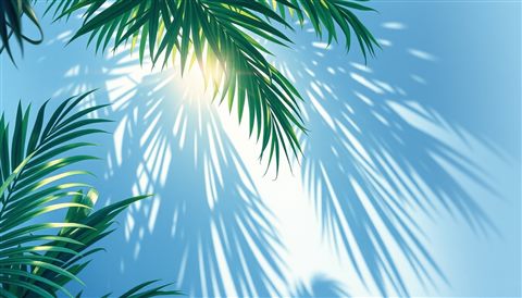 Watercolor illustration of Sunlight filtering through lush green tropical palm leaves casting shadows on a wall, close-up detail with shallow depth of field, cool blue tones, quiet atmosphere, 16:9 aspect ratio