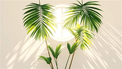 Minimal flat illustration of Sunlight filtering through lush green tropical palm leaves casting shadows on a wall, centered subject with a simple uncluttered composition, soft pastel colors, bright and cozy, 16:9 aspect ratio