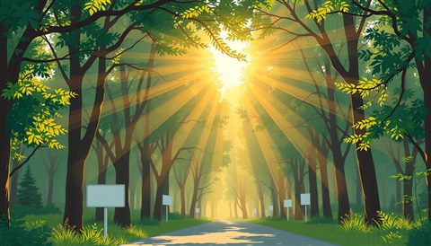 Minimal flat illustration of Golden sunbeams streaming beautifully through a peaceful green forest canopy, close-up detail with shallow depth of field, soft pastel colors, bright and cozy, 16:9 aspect ratio