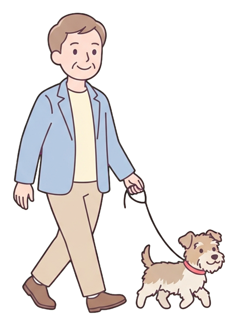 Simple cute flat cartoon illustration with soft pastel colors and thin clean dark outlines of a middle-aged man, person walking a small dog on a leash, transparent background PNG