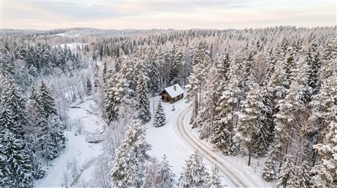 Photorealistic photo of quiet snowy forest with soft light, high-angle view from above, soft pastel colors, bright and cozy, 16:9 aspect ratio