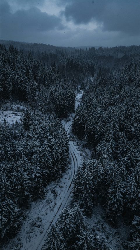 Cinematic film still of quiet snowy forest with soft light, high-angle view from above, moody dark tones, dramatic lighting, 9:16 aspect ratio