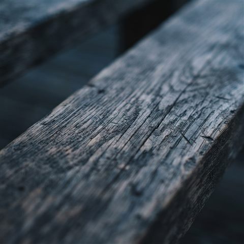Photorealistic photo of wood texture, close-up detail with shallow depth of field, cool blue tones, quiet atmosphere, 1:1 aspect ratio