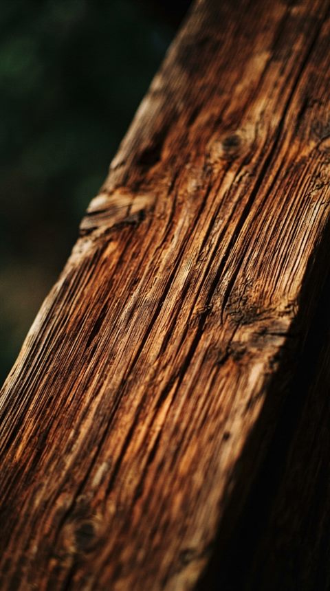 Cinematic film still of wood texture, centered subject with a simple uncluttered composition, vivid colors, high contrast, energetic, 9:16 aspect ratio